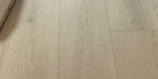 #6501 花色