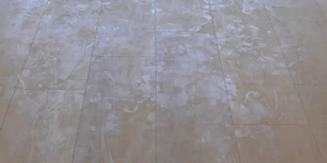 亞里士 花色