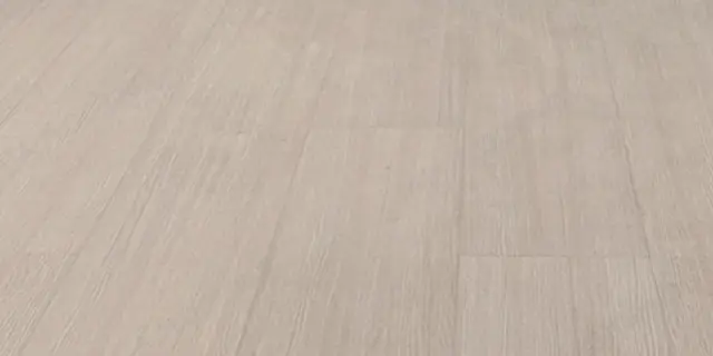 巴斯卡 花色