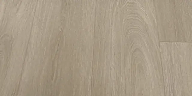 新春泥 花色