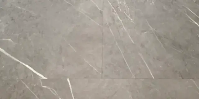 灰銀虎 花色