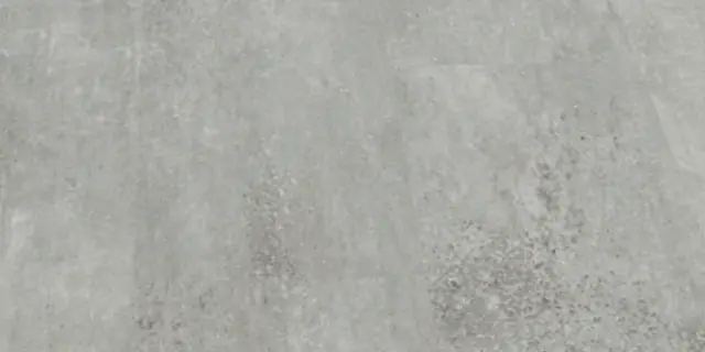 石原 花色