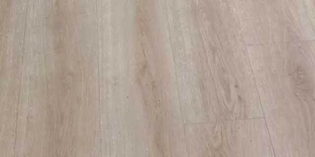 美泉宮 花色