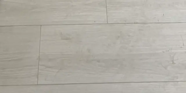 萊布尼 花色