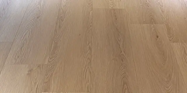 迪卡斯 花色